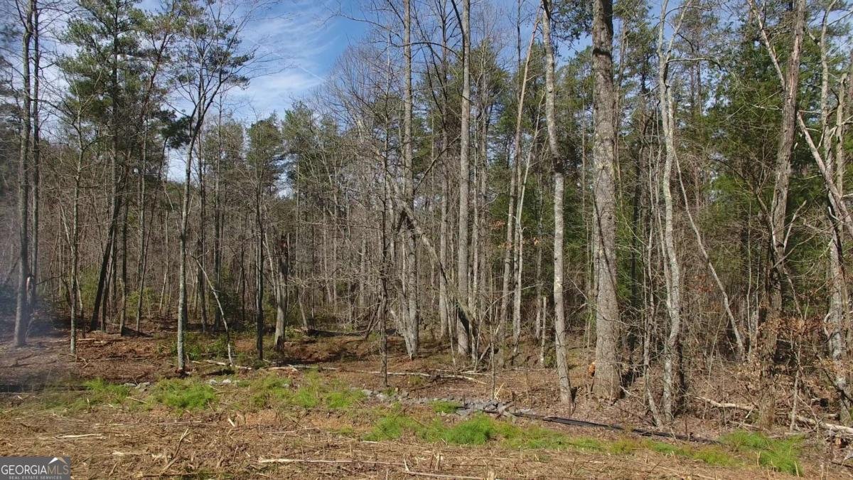 140 Autumn Fern Lane Ellijay - 4
