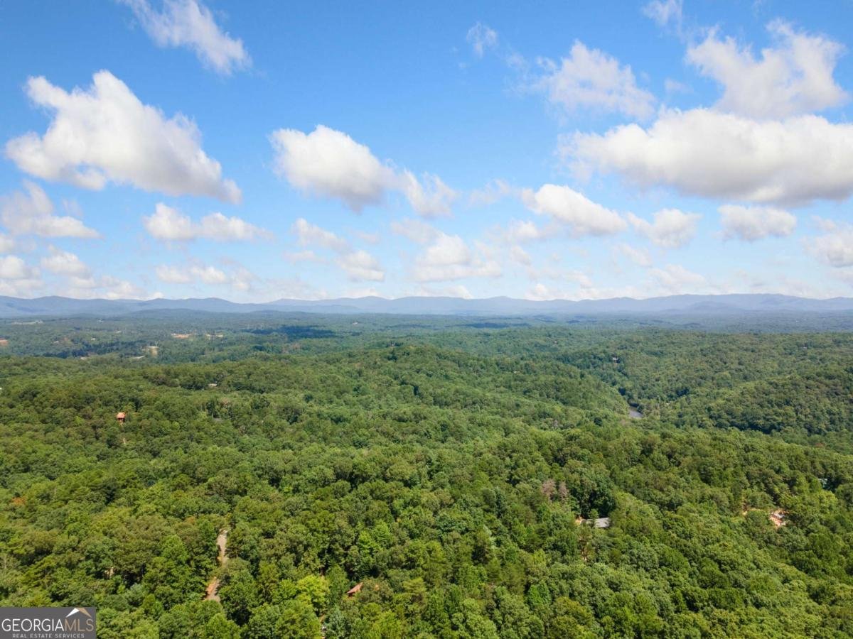 173 Birchwood Drive Ellijay - 33