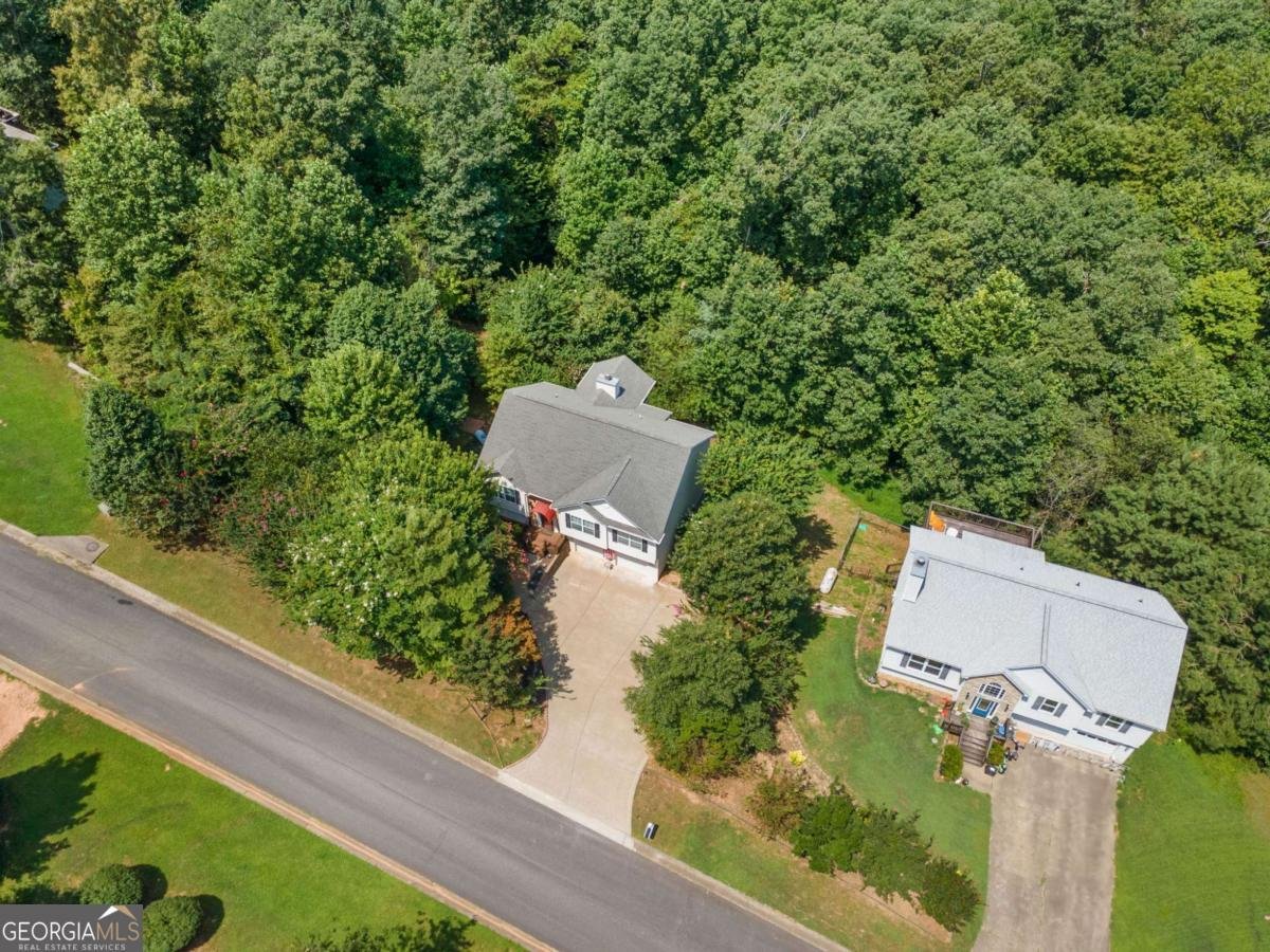 173 Birchwood Drive Ellijay - 34