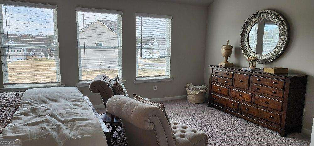 1069 Georgian Point Drive Lawrenceville - 19