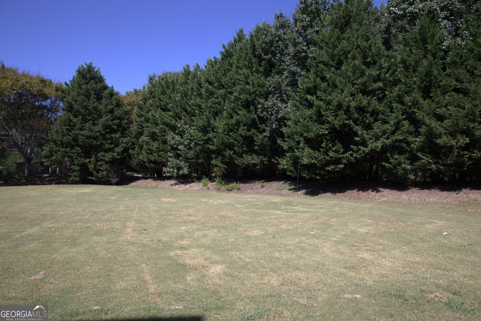 278 Jarrod Oaks Court Loganville - 5