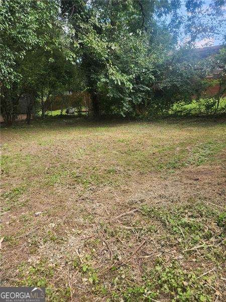 1000 Washington Street Atlanta - 2