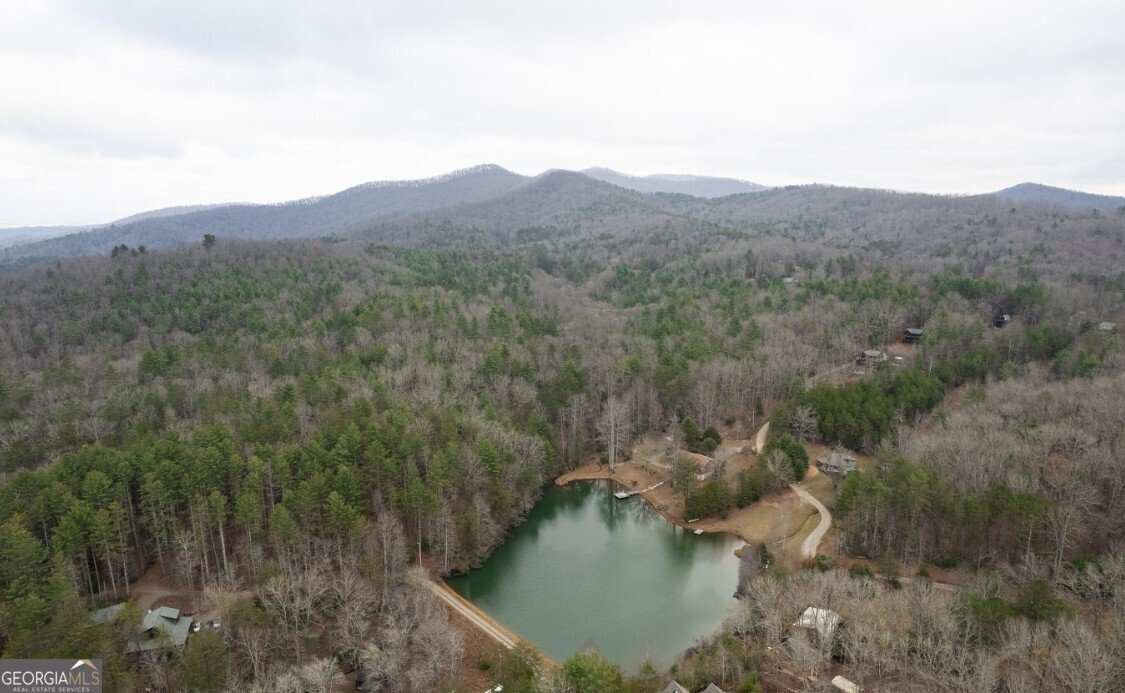 230 Mountain Lake Circle Blue Ridge - 19