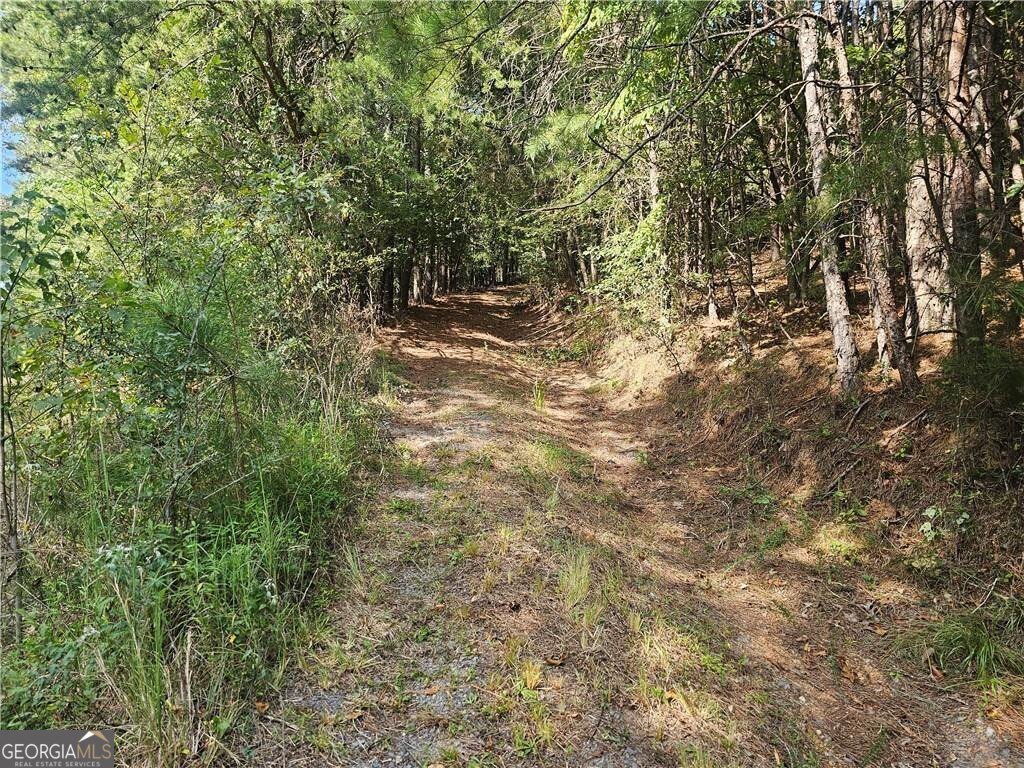 1394 Spring Place Road Rydal - 10