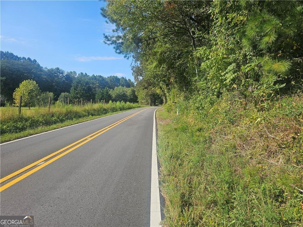 1394 Spring Place Road Rydal - 12