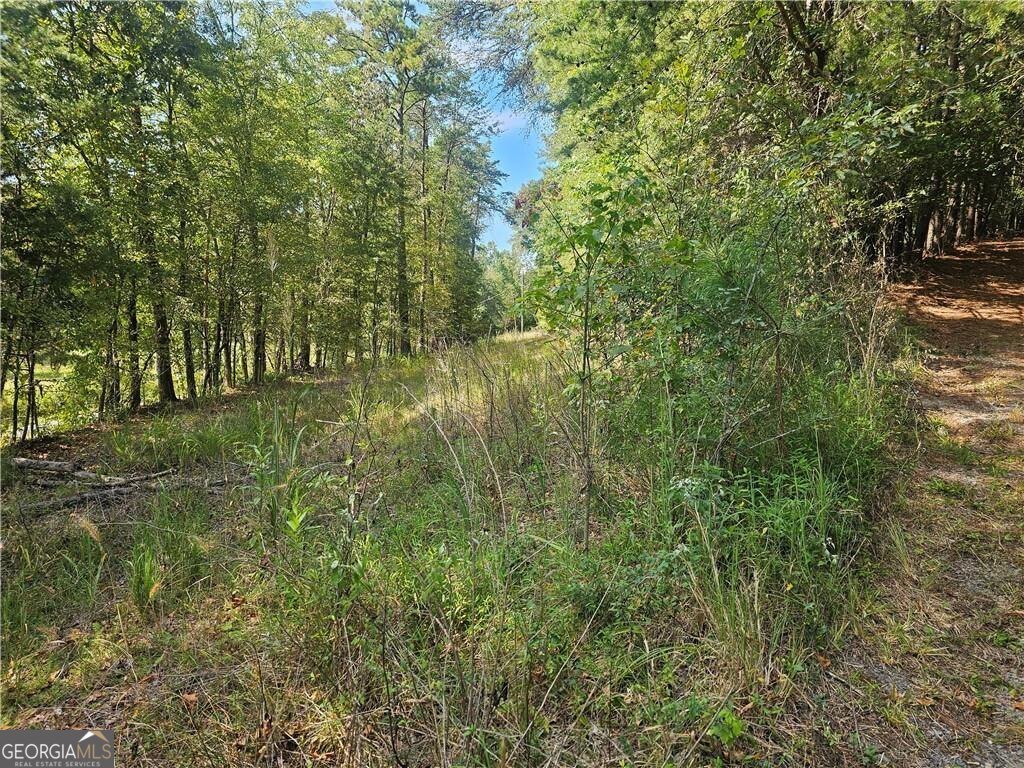 1394 Spring Place Road Rydal - 13
