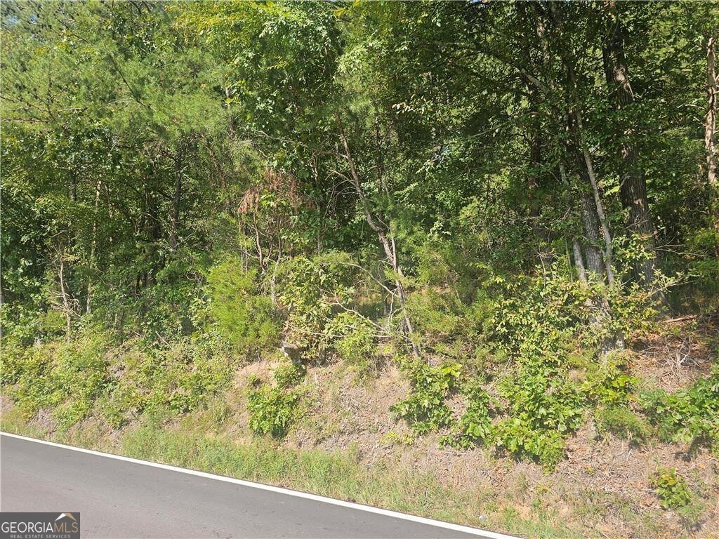 1394 Spring Place Road Rydal - 14