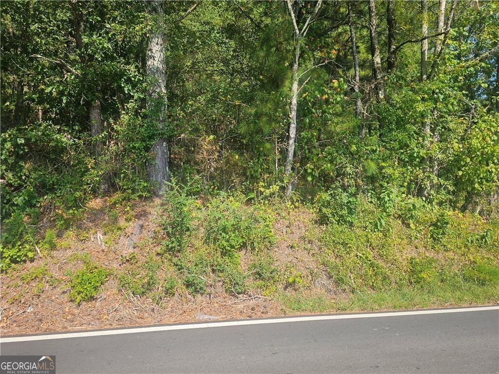 1394 Spring Place Road Rydal - 16