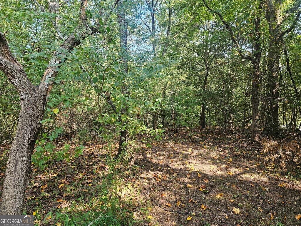 1394 Spring Place Road Rydal - 5