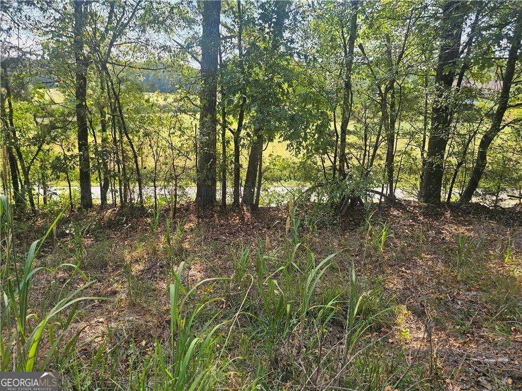 1394 Spring Place Road Rydal - 6