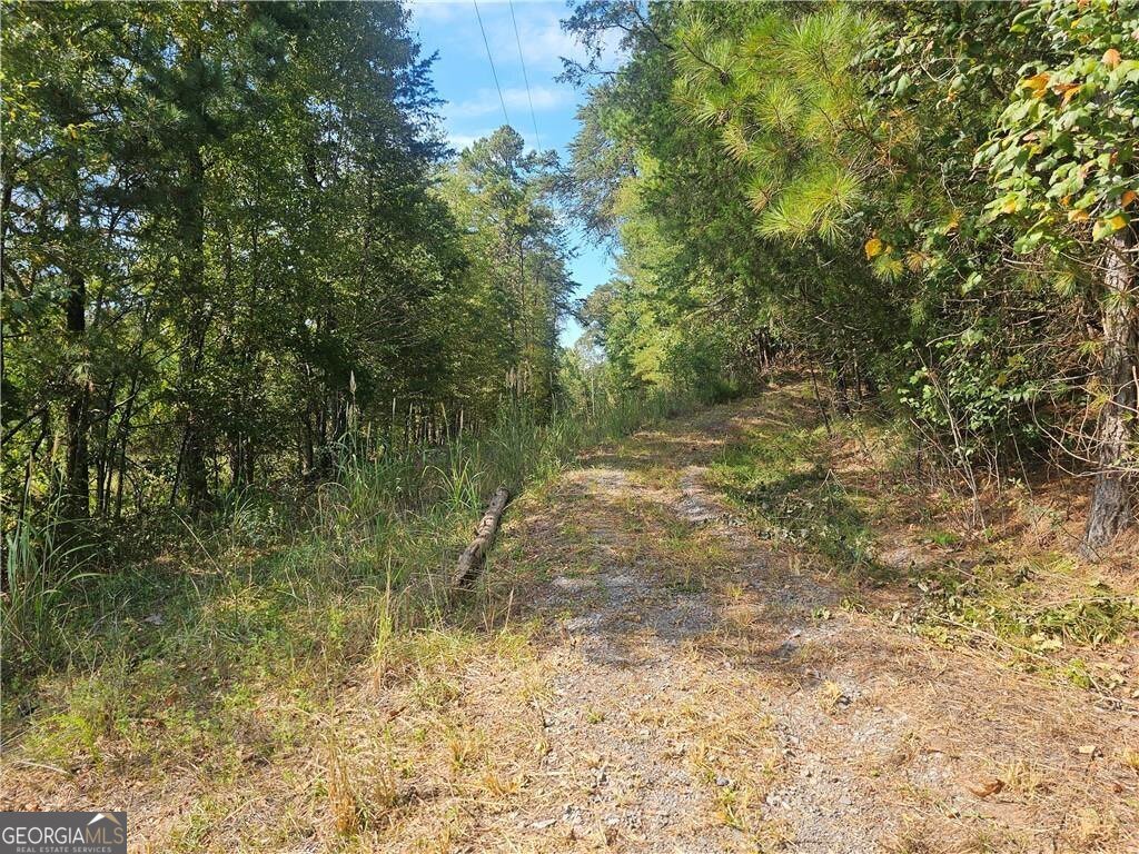1394 Spring Place Road Rydal - 7