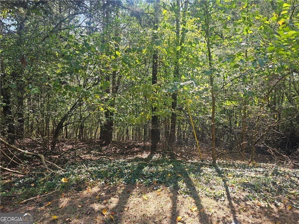 1394 Spring Place Road Rydal - 9