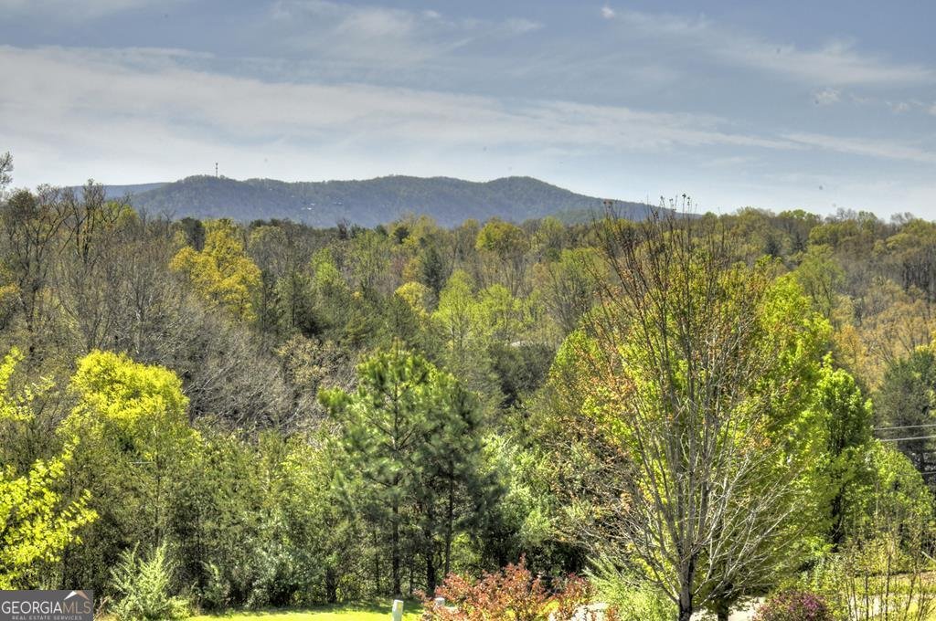 110 Lindsey Lane Blue Ridge - 27
