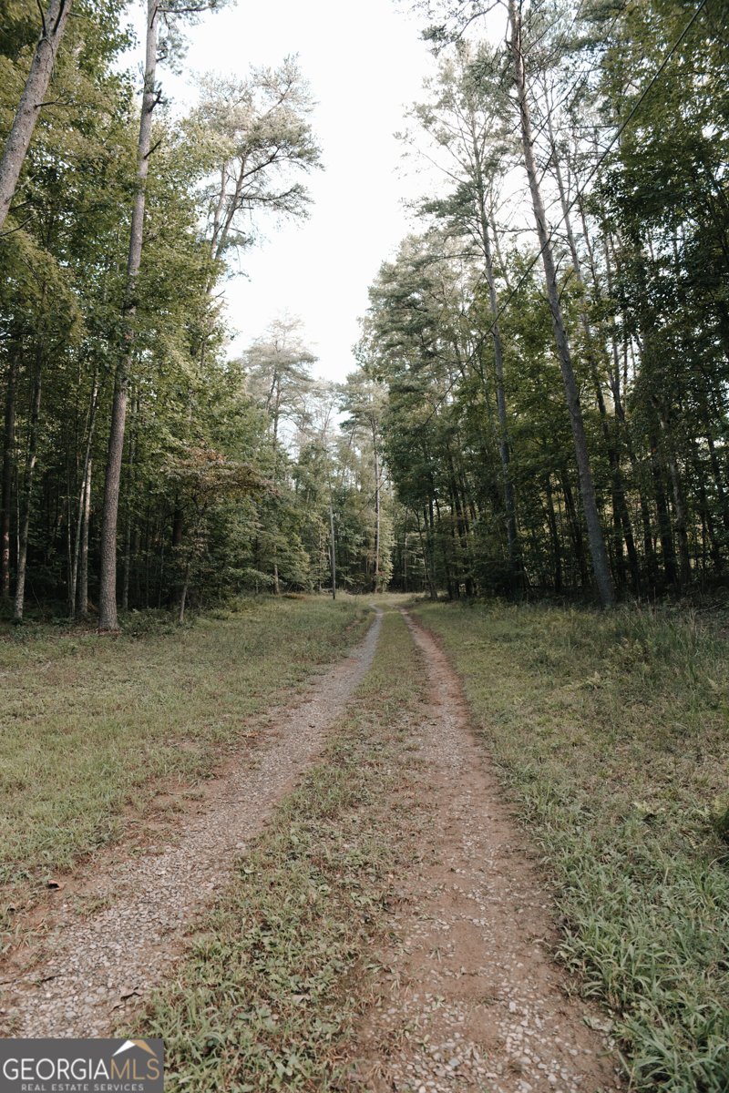 170 Ashly Drive McCaysville - 4