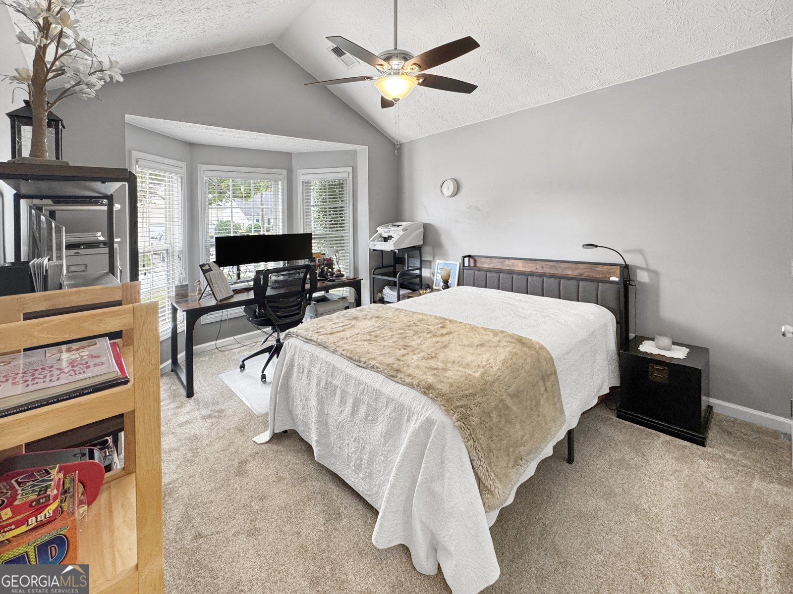 137 Alessie Drive Newnan - 24