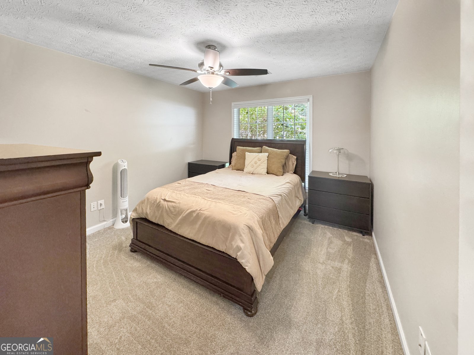 137 Alessie Drive Newnan - 9