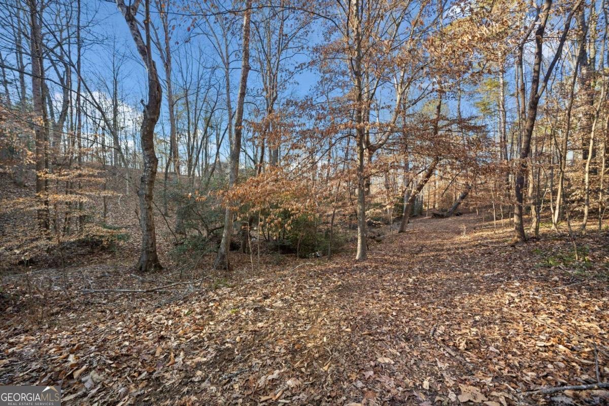 121 HARMONY OAKS Trail Canton - 40