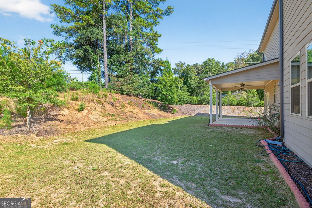 4817 Cooper Farm Drive Buford - 3