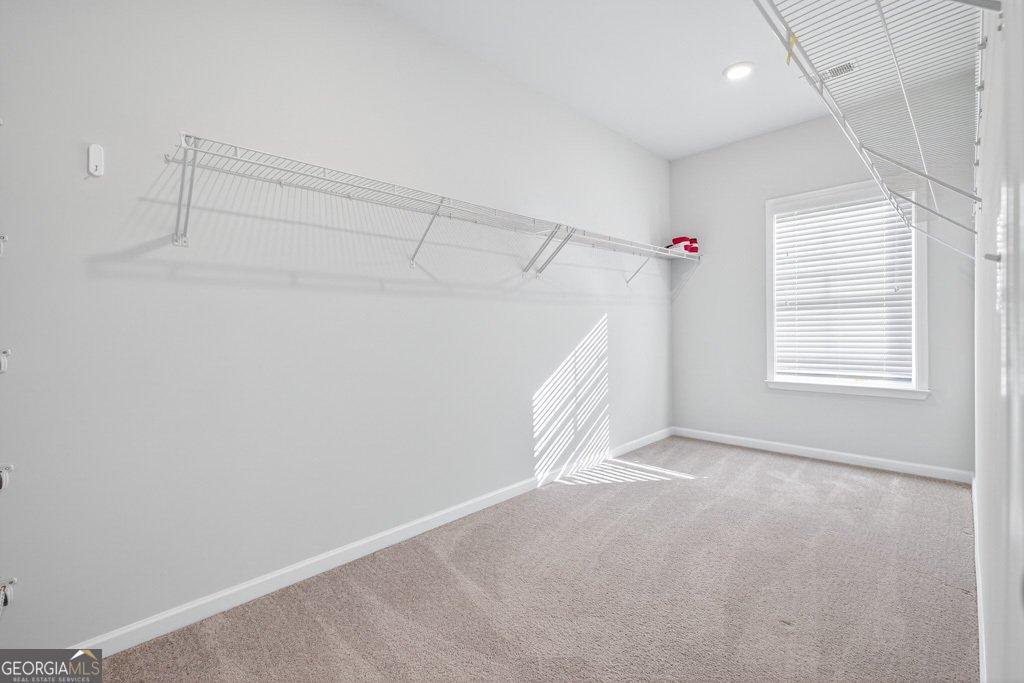 4817 Cooper Farm Drive Buford - 55