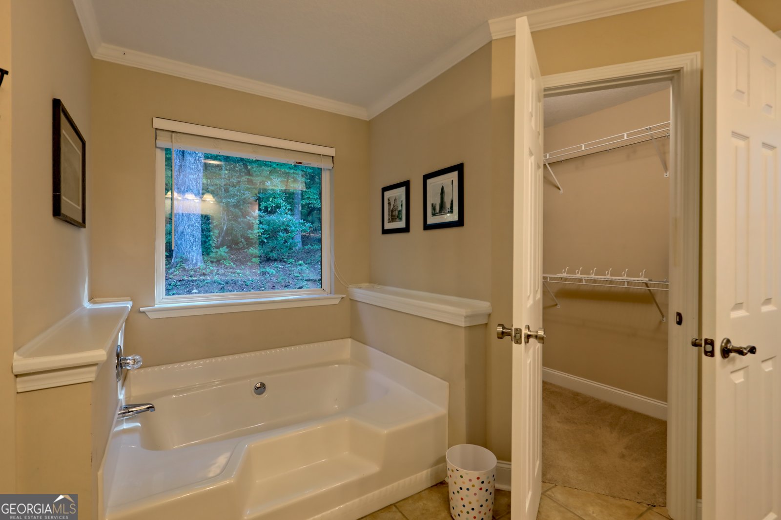 188 Fulton Road Tiger - 25