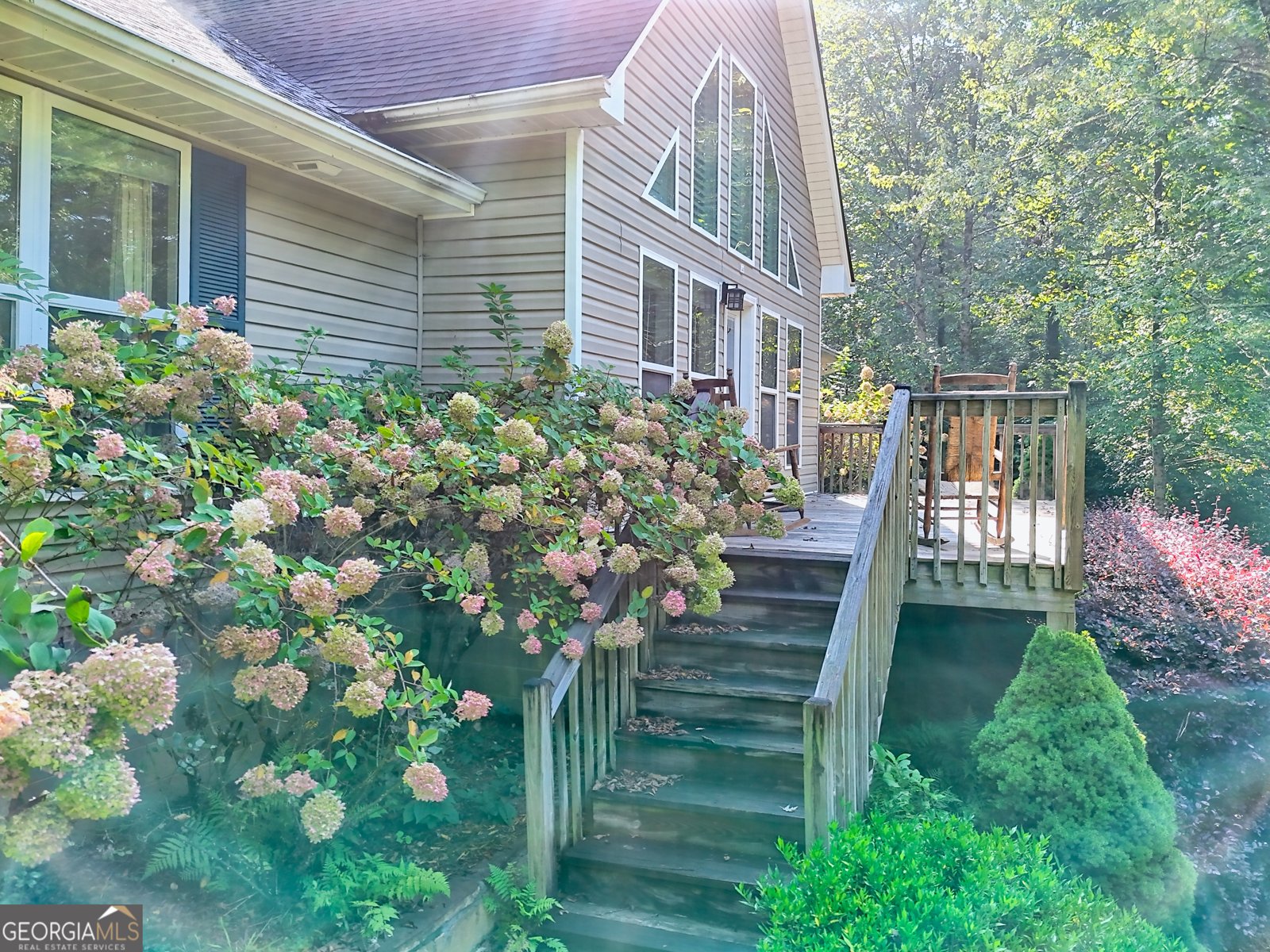 188 Fulton Road Tiger - 5