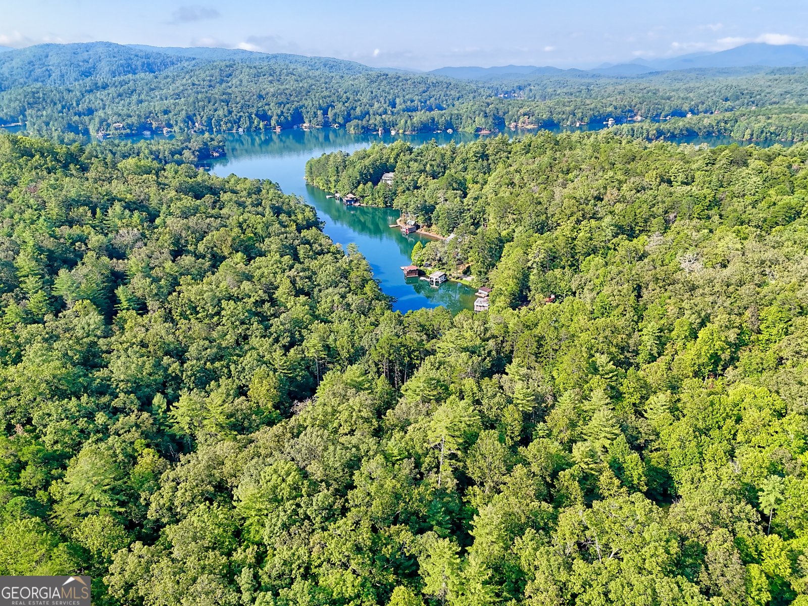 188 Fulton Road Tiger - 66