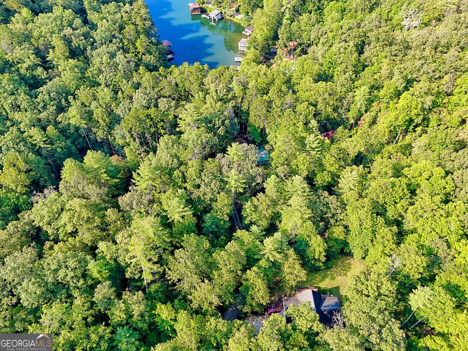 188 Fulton Road Tiger - 67