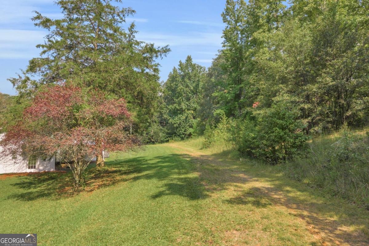 4274 Highway 98 Danielsville - 13