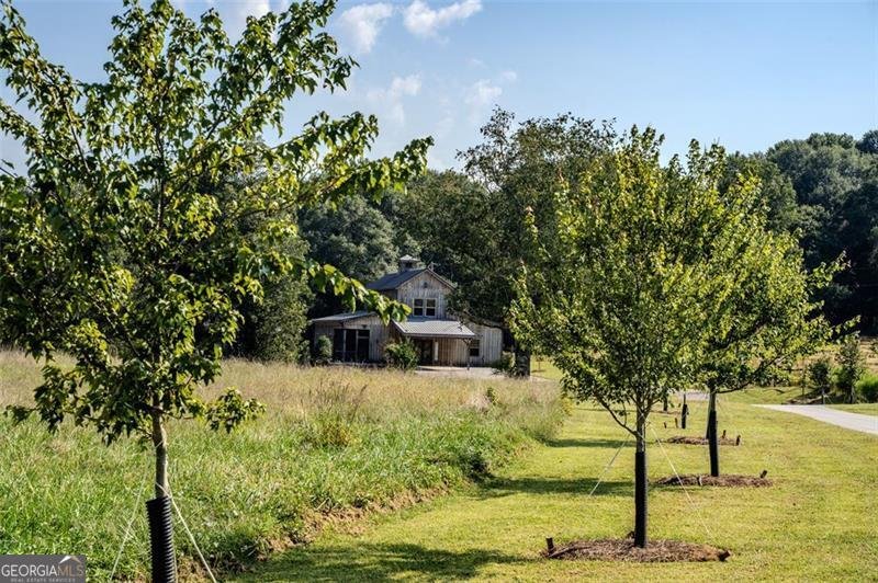 1700 BEAVER DAM Road Madison - 25