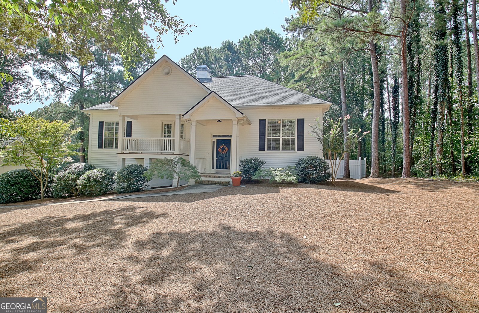 325 Northridge Drive Senoia - 3