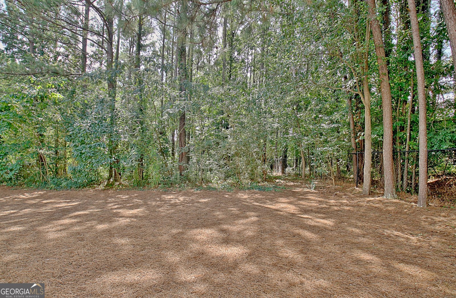 325 Northridge Drive Senoia - 55