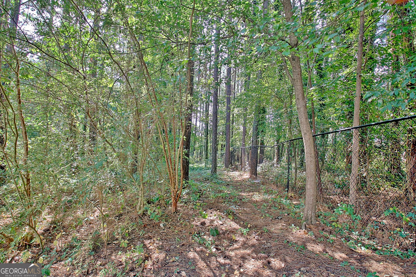 325 Northridge Drive Senoia - 57