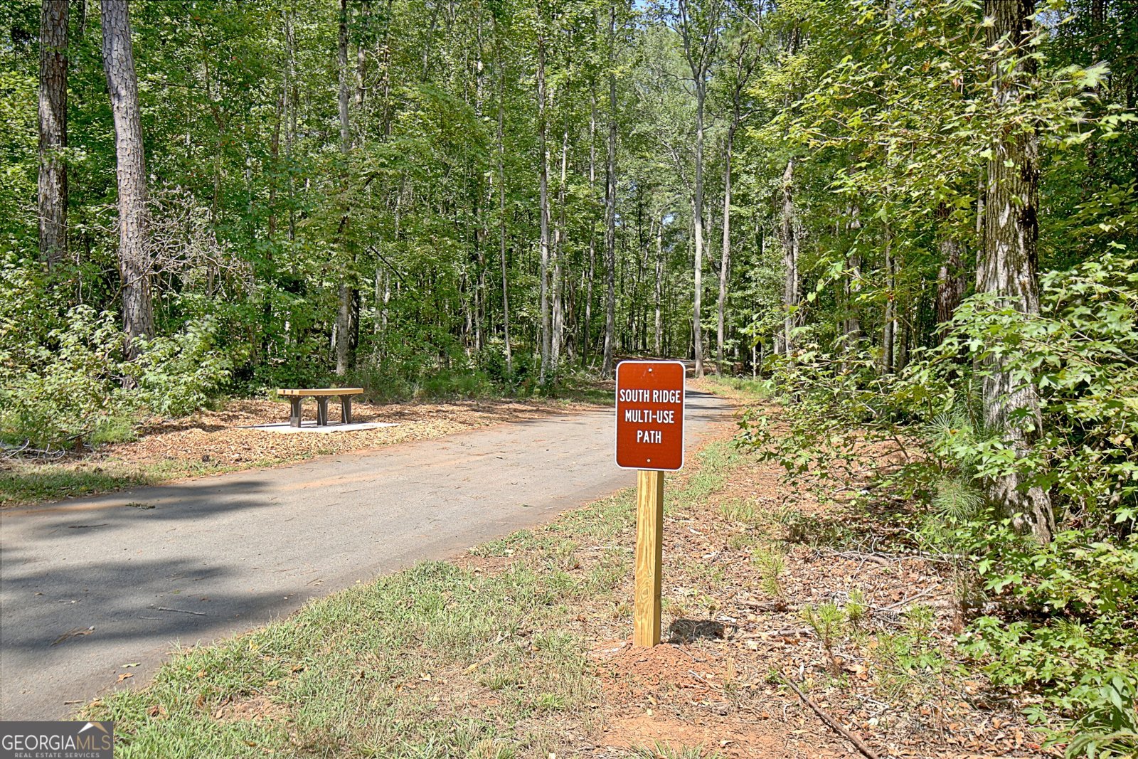 325 Northridge Drive Senoia - 60