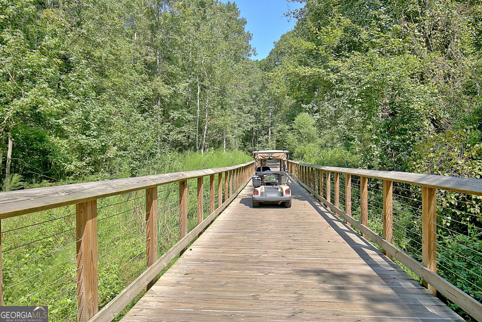 325 Northridge Drive Senoia - 61