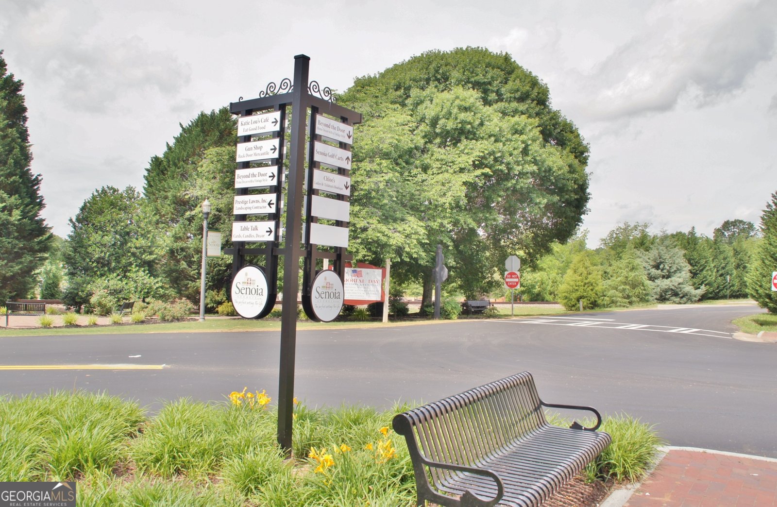 325 Northridge Drive Senoia - 66