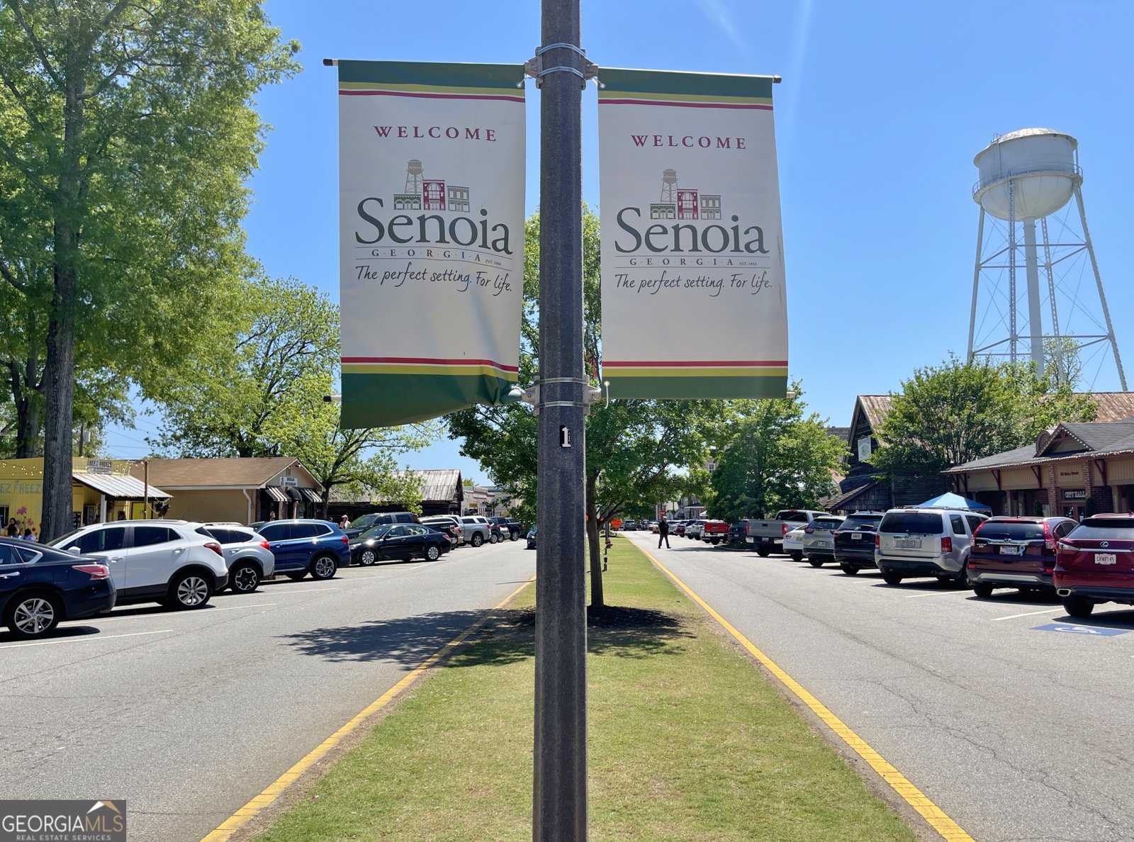325 Northridge Drive Senoia - 69