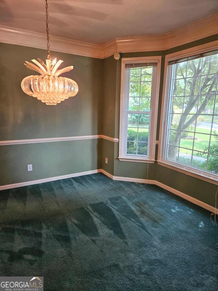 4458 BLACK WATER Cove Ellenwood - 12