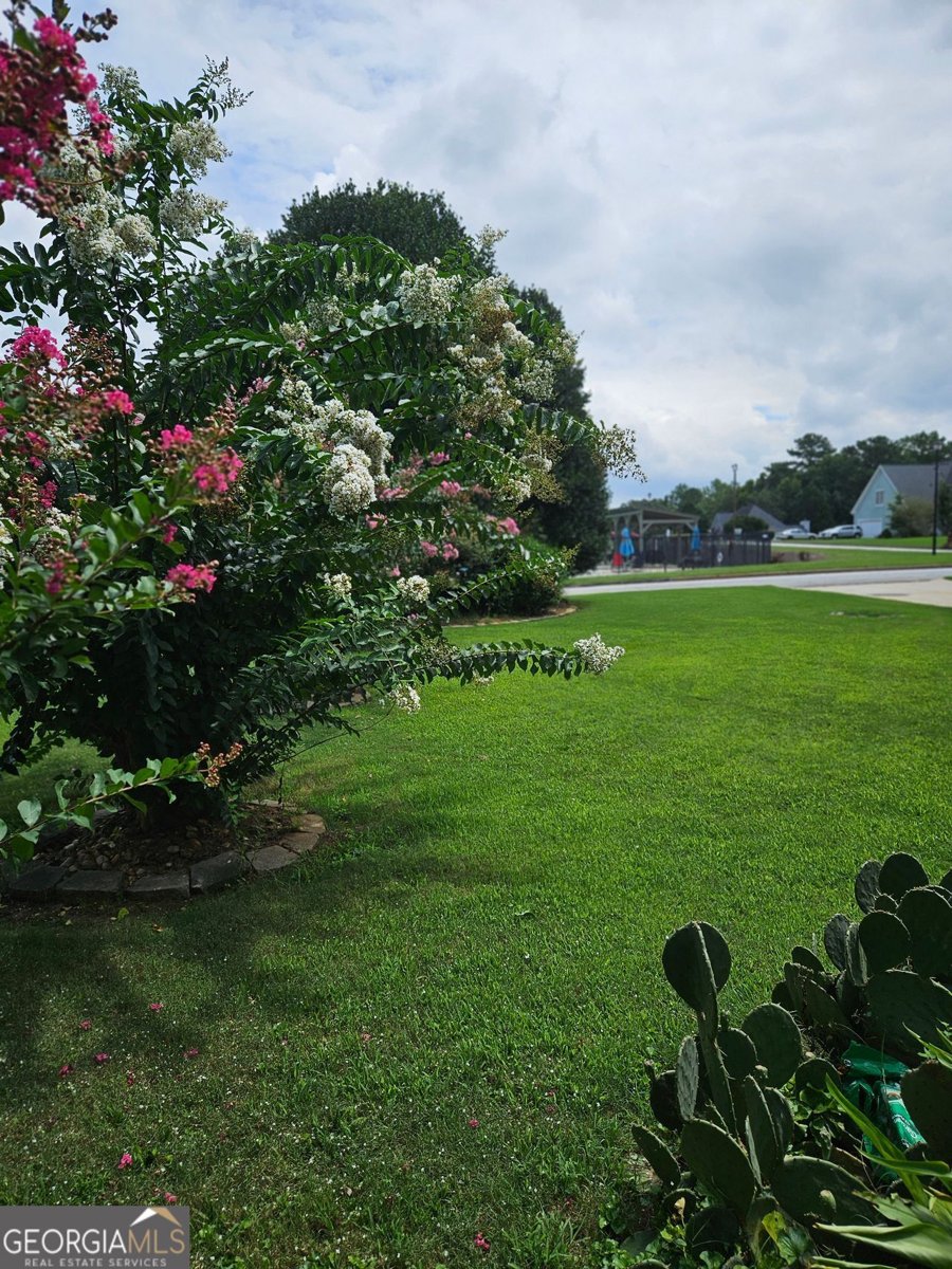 4458 BLACK WATER Cove Ellenwood - 15