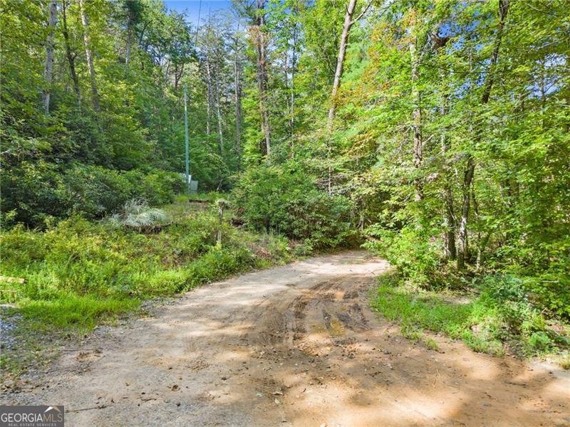 657 Rock Chimney Lane Dahlonega - 59