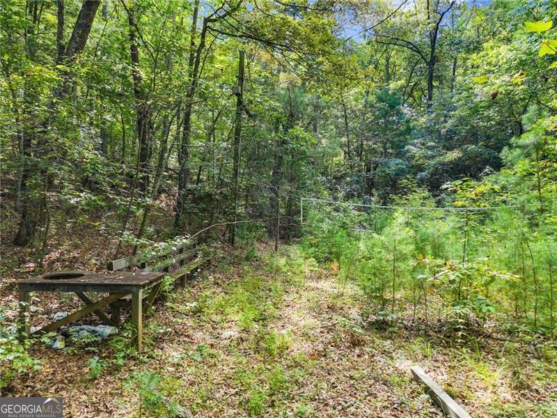 657 Rock Chimney Lane Dahlonega - 60
