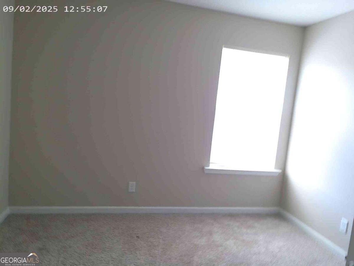 46 Covey Lane Ludowici - 6