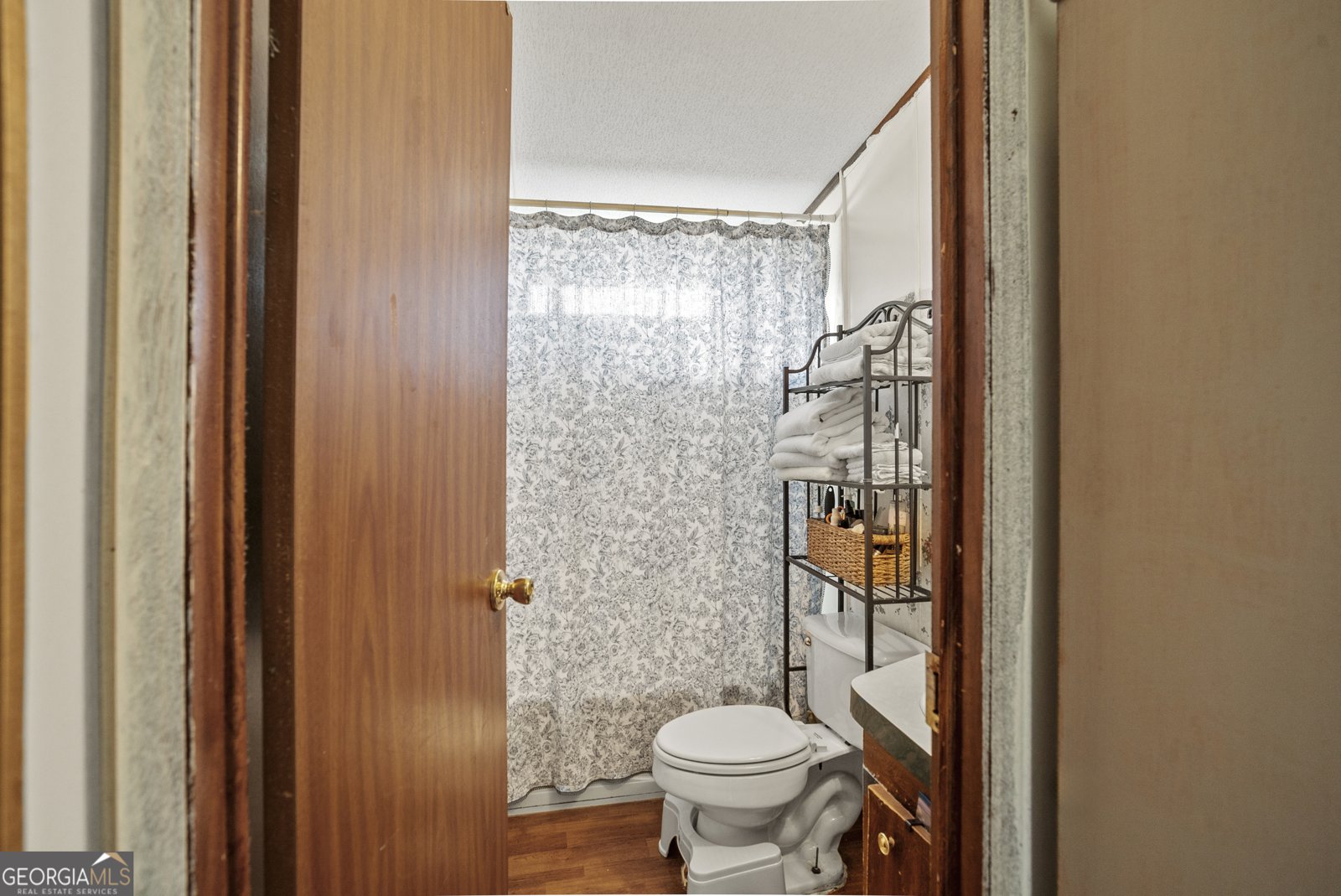 3413 Paramore Hill Road Millen - 4