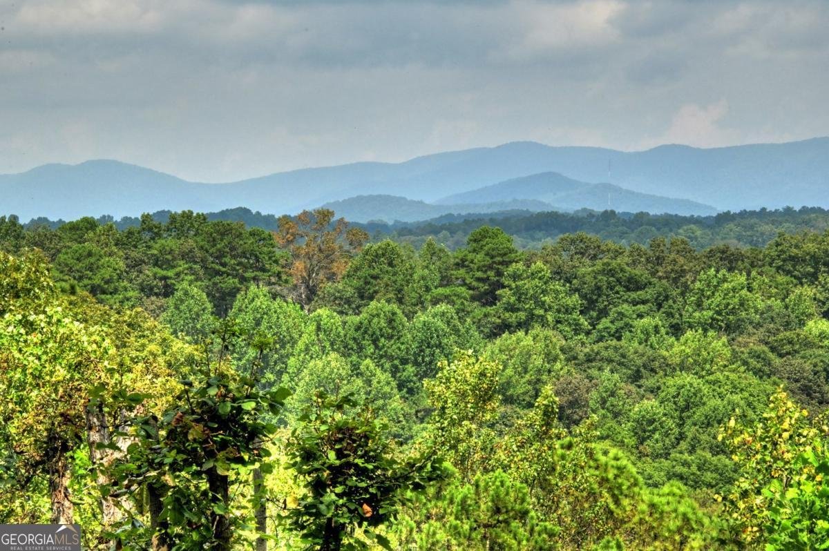 452 Garfield Drive Ellijay - 12