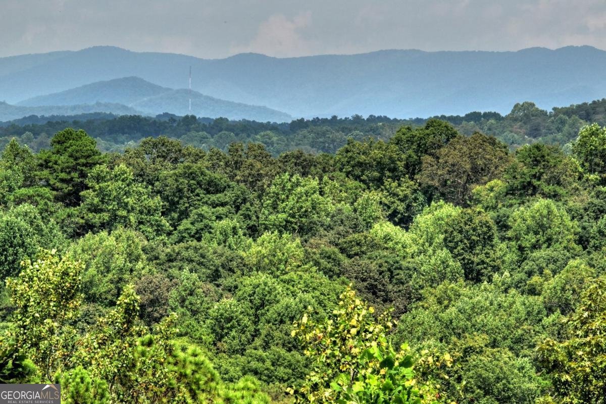 452 Garfield Drive Ellijay - 15