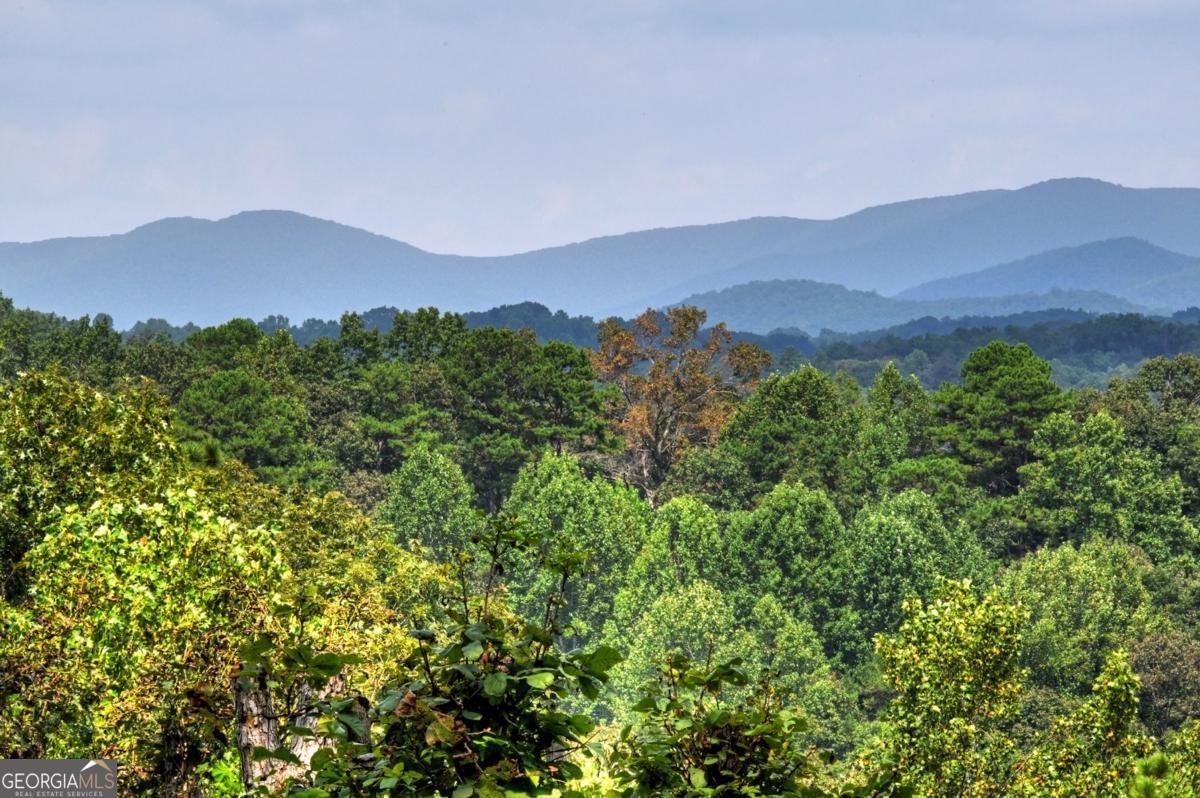 452 Garfield Drive Ellijay - 2