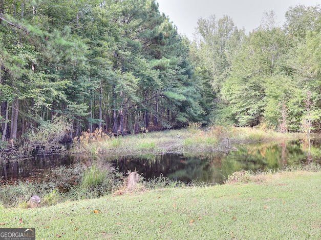 670 Mill Pond Road Newborn - 12