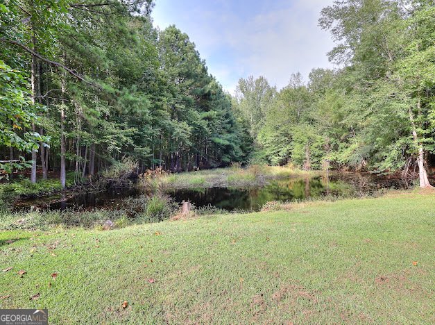 670 Mill Pond Road Newborn - 13