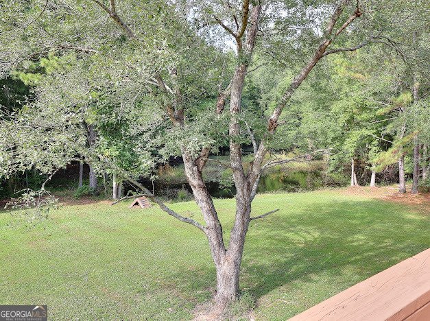 670 Mill Pond Road Newborn - 15