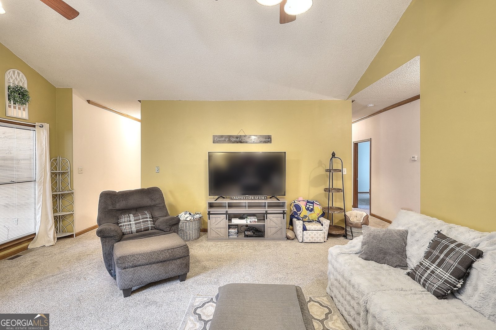 670 Mill Pond Road Newborn - 37
