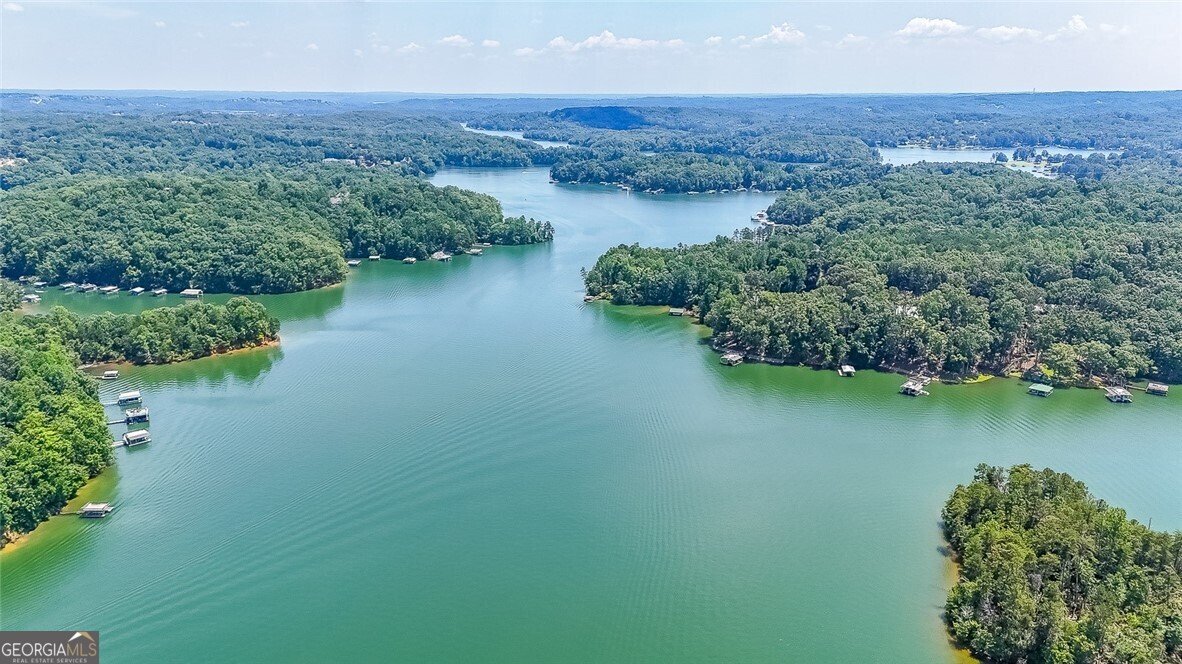 9460 Chestatee Court Gainesville - 12